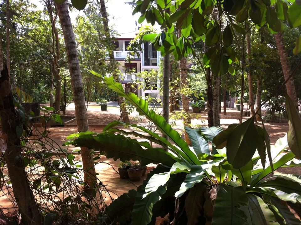 Gem Field Rest Acomodação com café da manhã Ratnapura Exterior foto